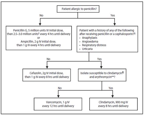 beta streptococcus|Clinical Guidelines for Group B Strep Disease .